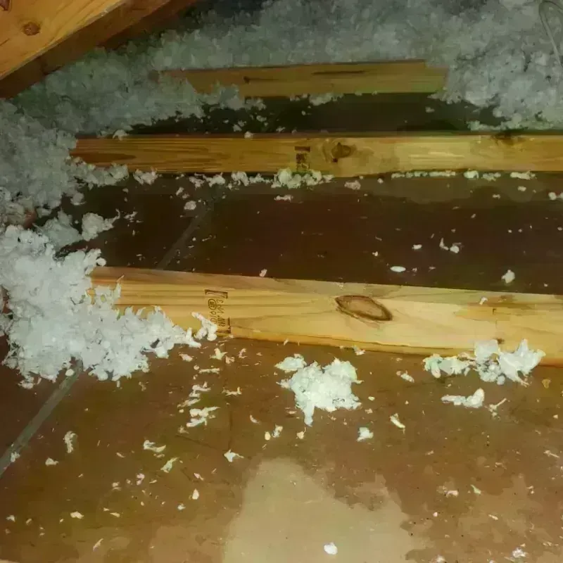 Attic Water Damage in Fairchilds, TX