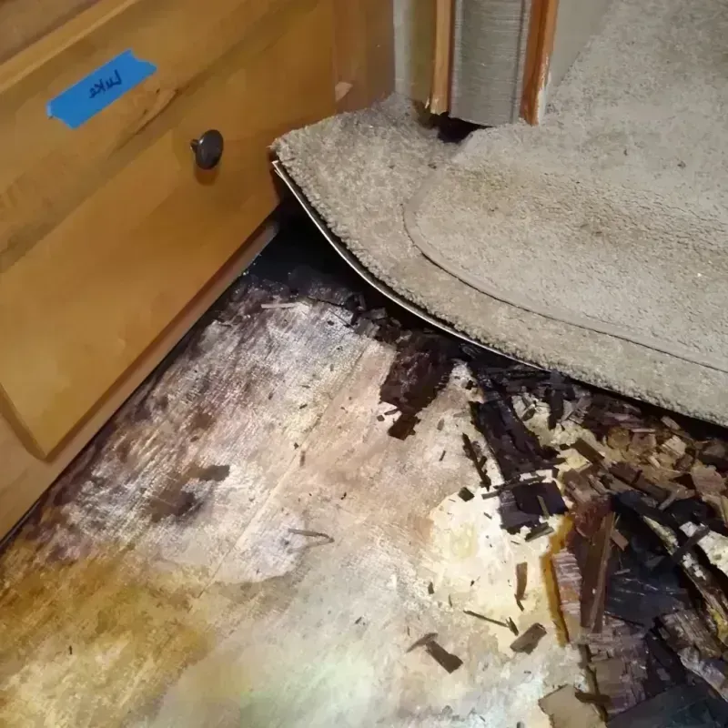 Wood Floor Water Damage in Fairchilds, TX